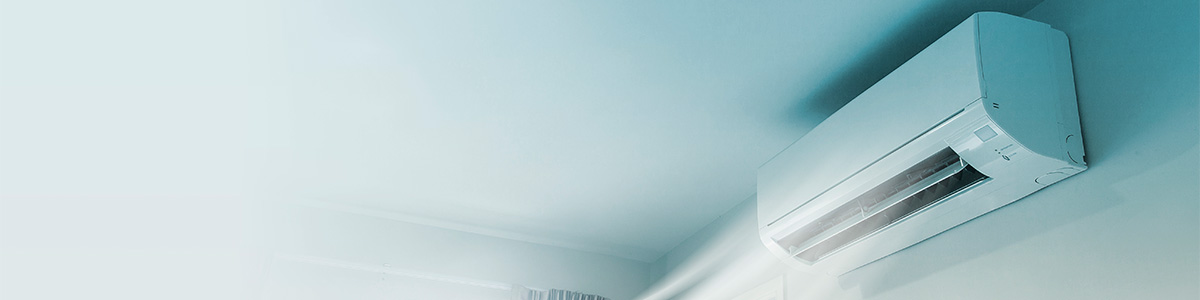 header2.jpg
